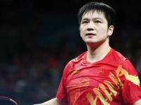 九游娱乐-瑞典队鏖战奥地利队，樊振东状态火热的简单介绍