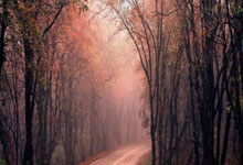 九游娱乐首页-马来西亚羽毛球队绝杀中国羽毛球队，李宗伟关键制胜的简单介绍