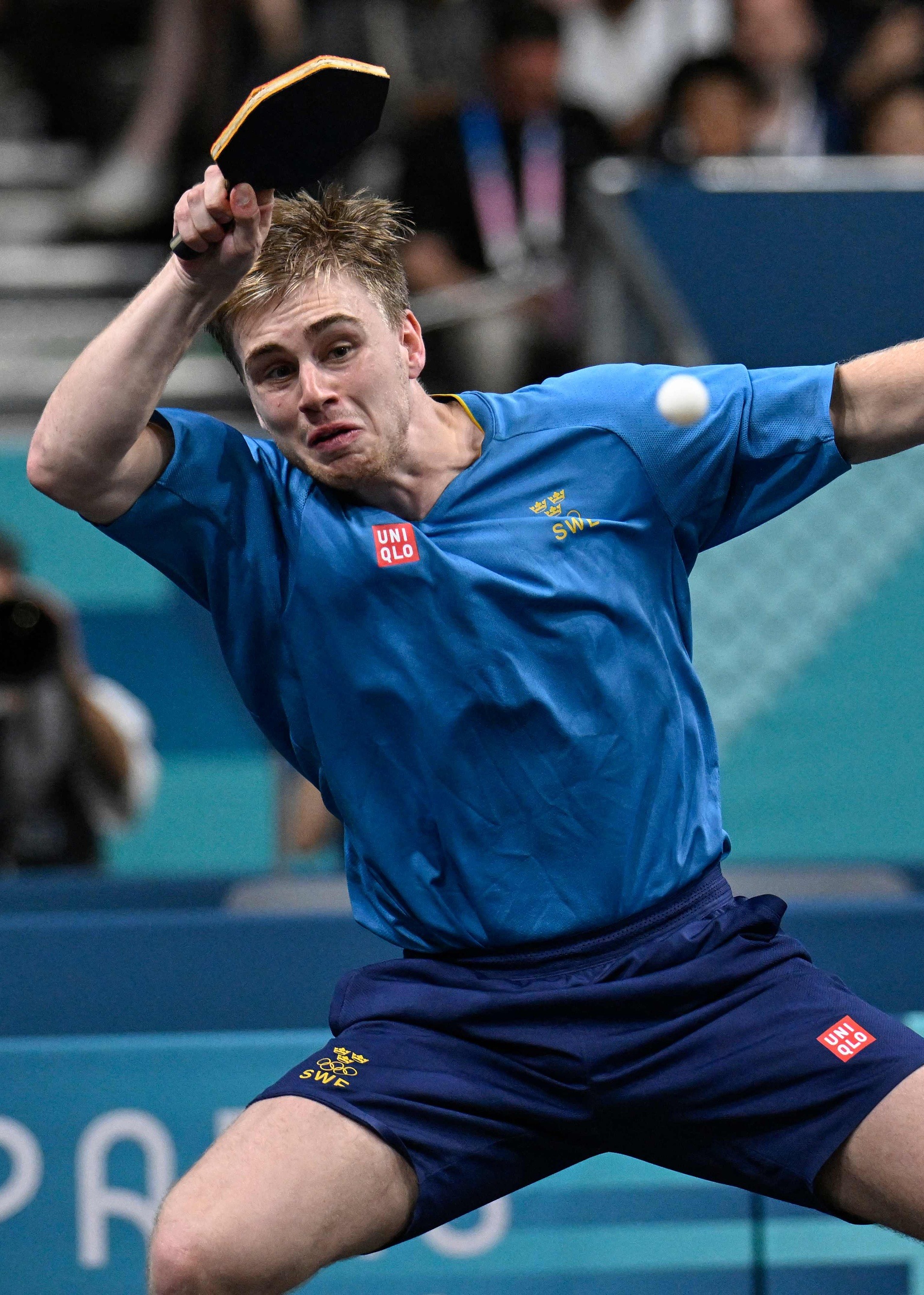 日本乒乓球队绝地反击法国乒乓球队，波尔高光表现的简单介绍