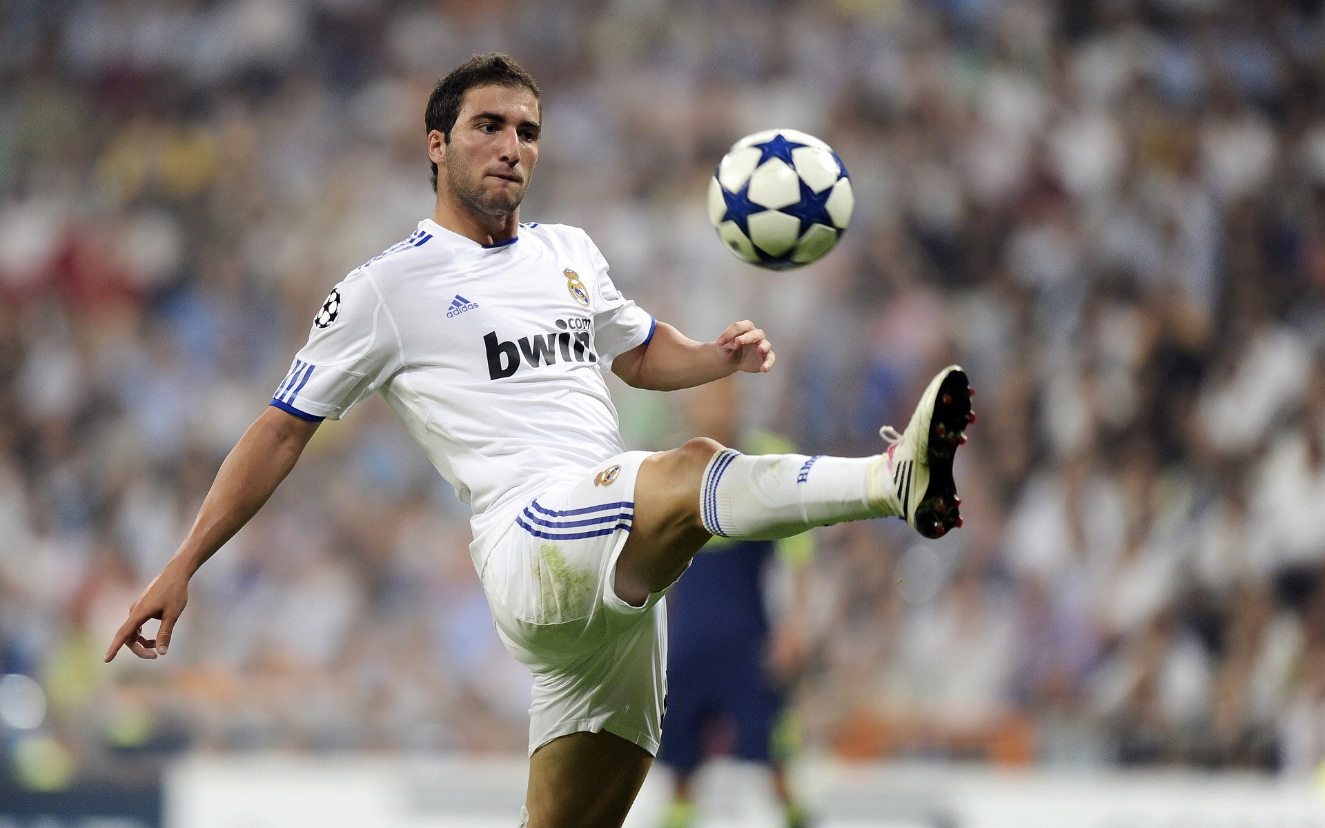 寒夜暖流，霍勒迪的底角绝杀与北京队的冬日奇迹